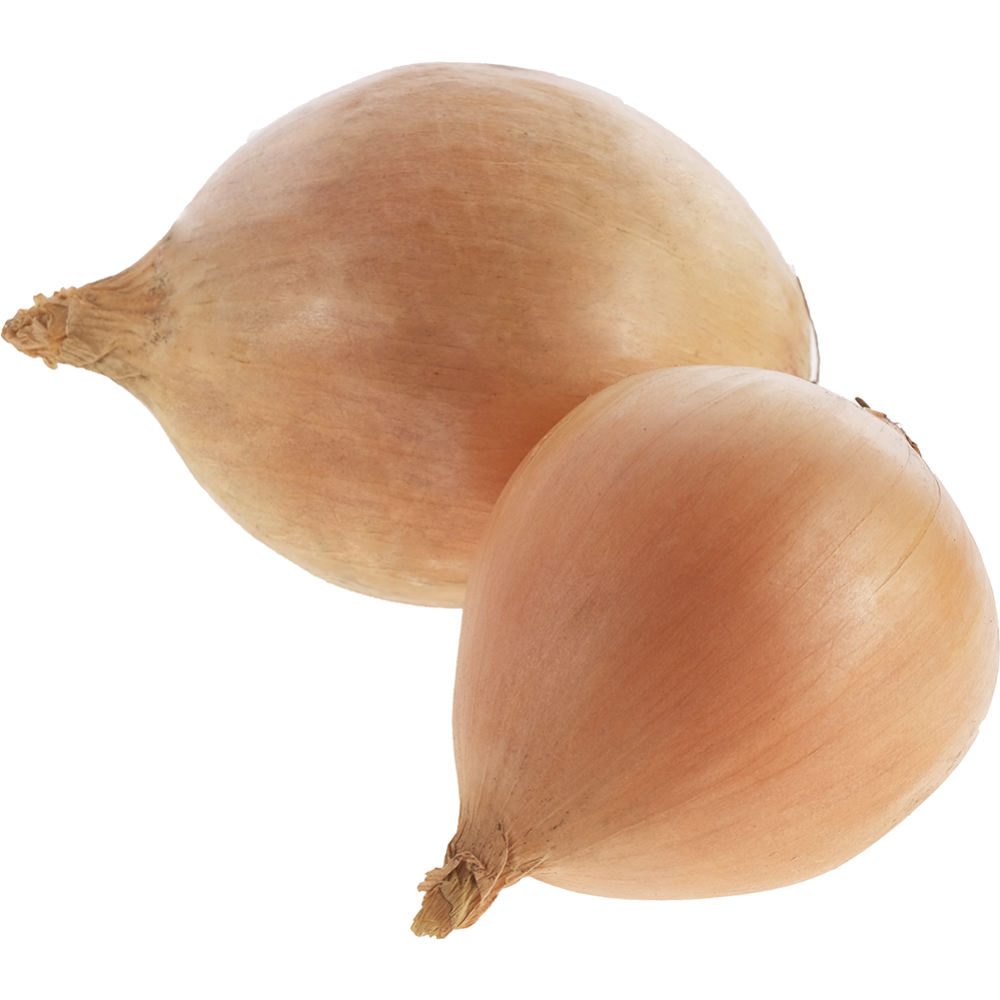 Onions (packaging 1 - 1.1 kg)